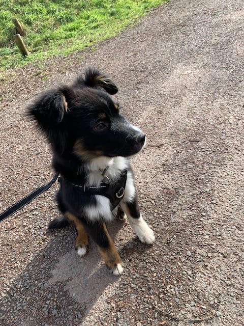 WhatsApp Itmage bbbr2026-02-20 at 09.43.33.jpeg